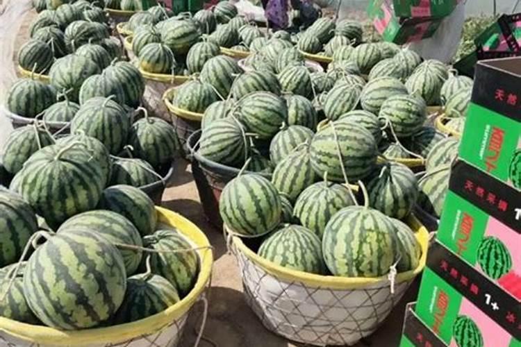 氯化钾与氯化铵的复合肥哪个好