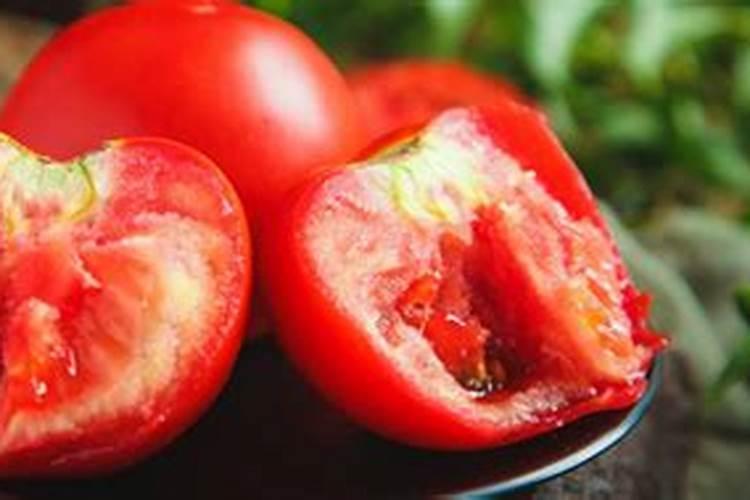 西红柿最忌讳的肥料是什么？西红柿正确的施肥方法,一定要掌握好百度...