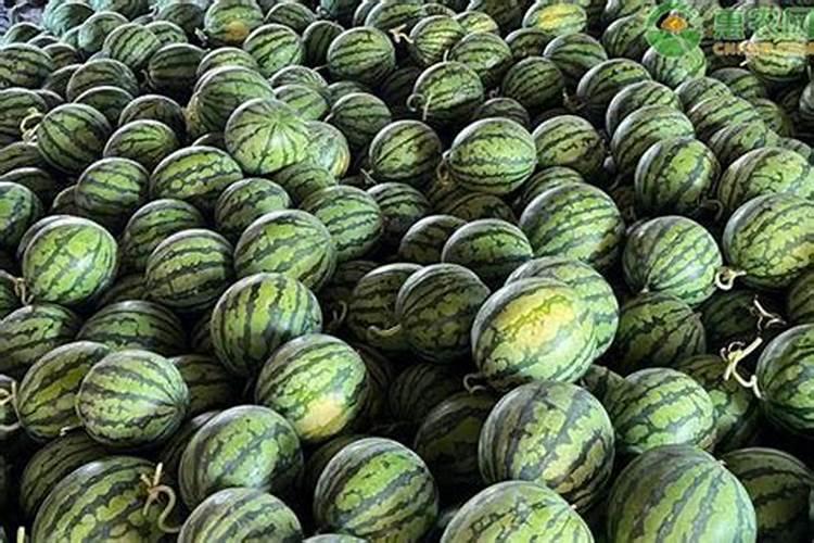 小麦的生长周期肥料氮磷钾的比例是多少