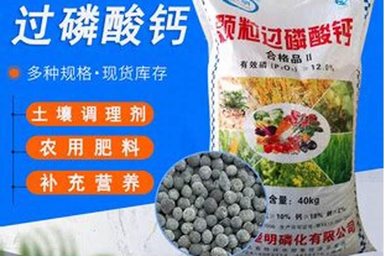 栀子花花苞时浇什么肥料(栀子花施什么肥才能长出花蕾)