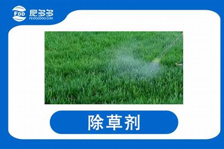 阿米西达使用注意事项是什么