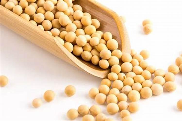 黄豆冬季怎么制作肥料