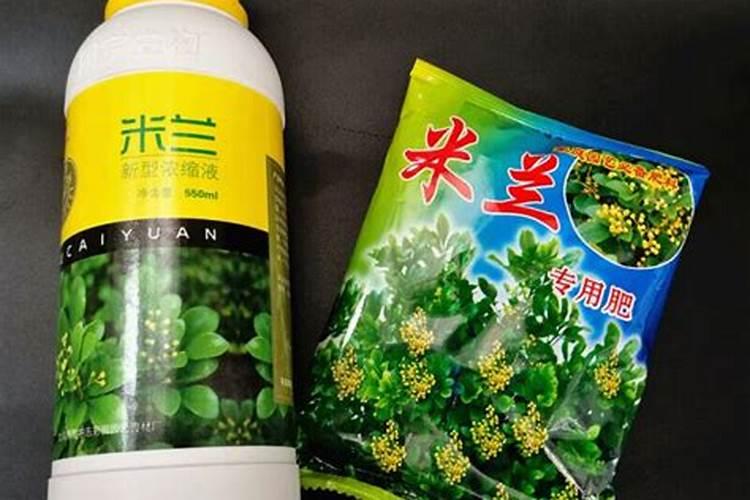 种植西瓜,主要步骤是什么？