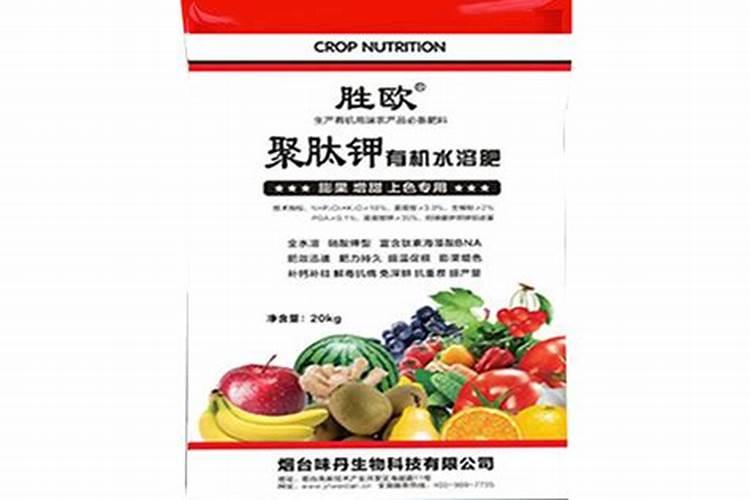 铁树用什么肥料好