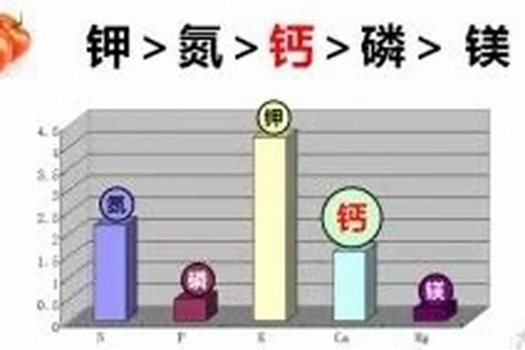 种植辣椒用什么底肥