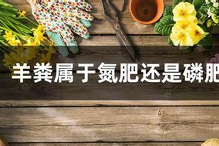 棉花烧完什么样子