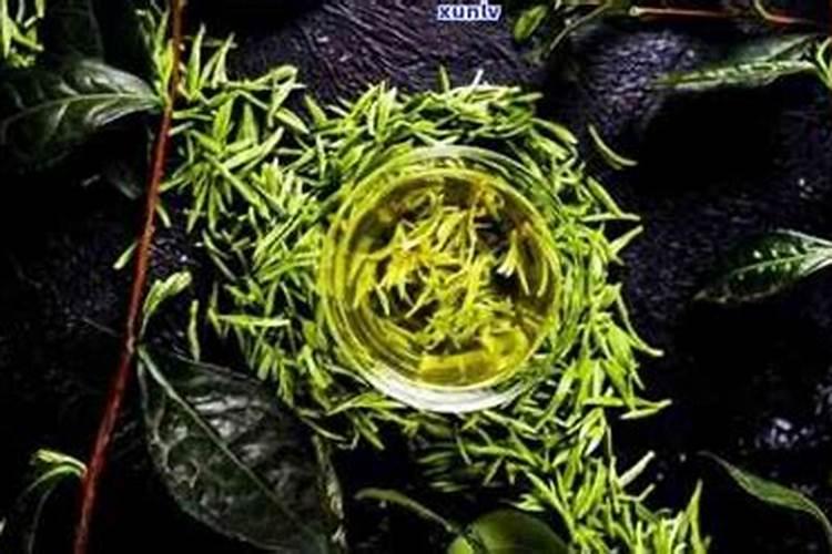 尿素是胺态氮肥吗