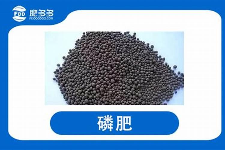 磷肥对果树的作用是什么