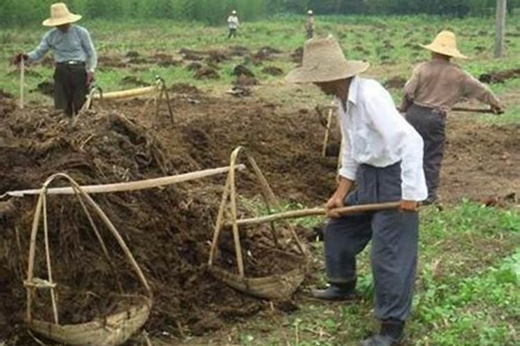 中国钾肥前十名上市公司
