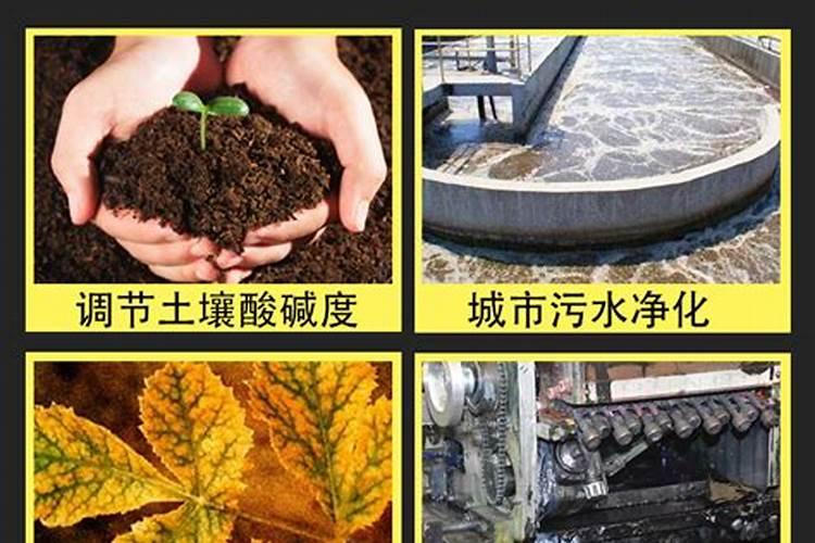 超市买的套装花种,里面带了一小包花肥是绿色颗粒状的,用水泡也泡不开...