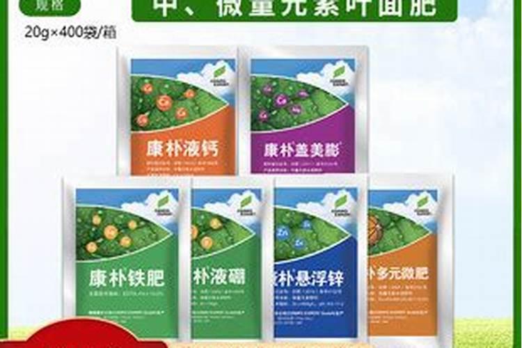 梅花的花苞蔫了是怎么回事？