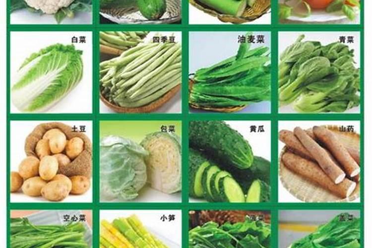 三角梅用什么肥料开花