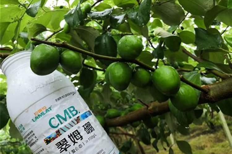 小麦叶面肥什么牌子最好