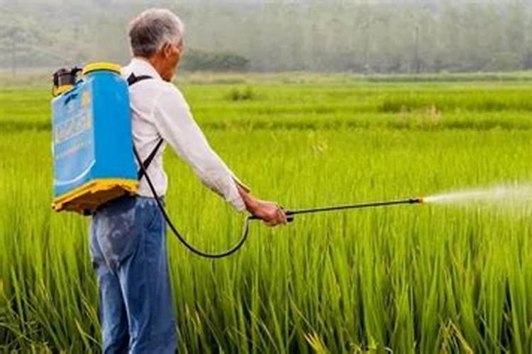 农药噻虫嗪能和微量元素水溶肥混用吗？