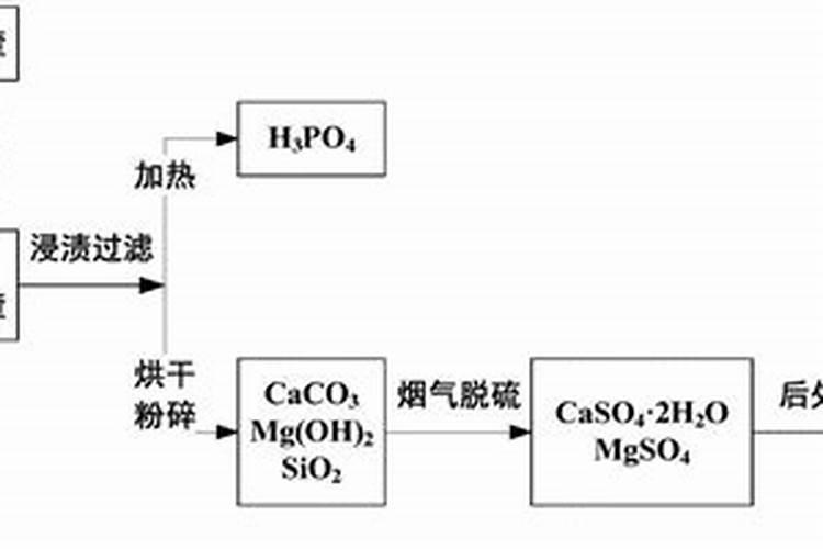 花卉施肥后需要立刻浇水吗如何科学施肥