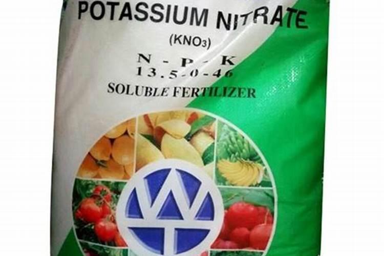 南方几月种植水稻最多 南方什么时候种植水稻最多