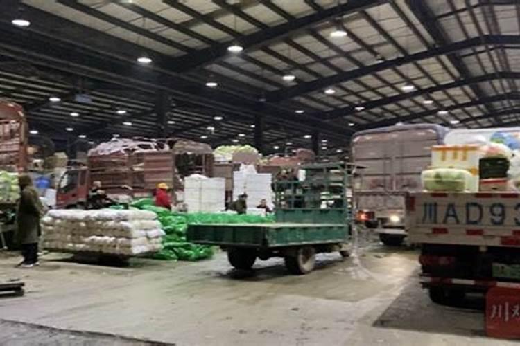 高产豆角专用肥用哪种好？昆仑风套餐能用在黄瓜上吗