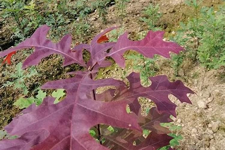 小区水箱加固方法