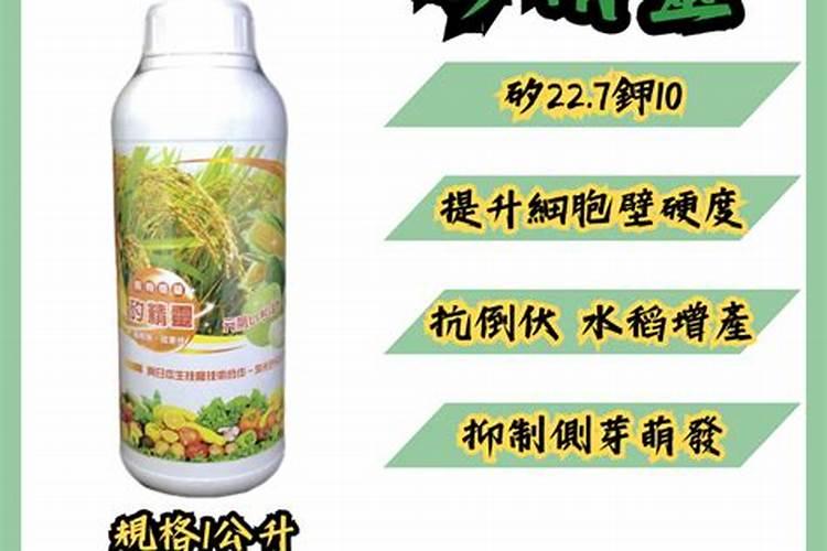 农作物使用什么肥过多易倒伏