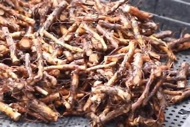 磷钾肥怎么浇花正确使用方法