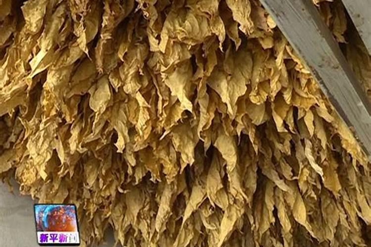 液体锌和片剂锌哪个好