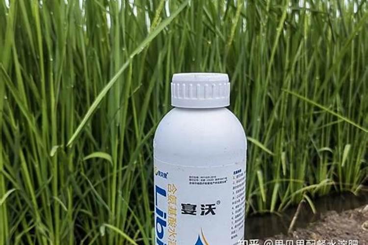 施用氮肥过多对植物有什么影响