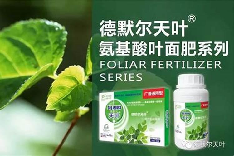 西红柿什么时候施肥最好