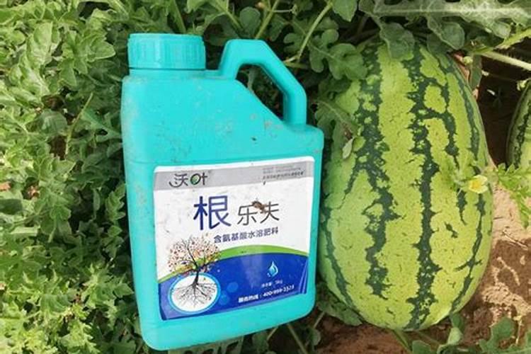 稻草灰可以当肥料吗？