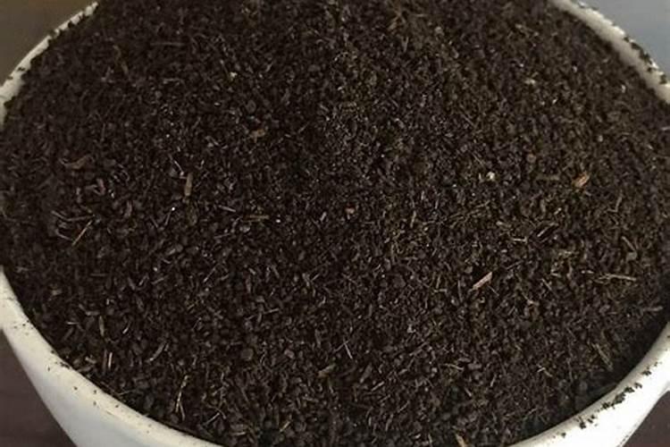 大蒜叶面肥喷什么肥最好