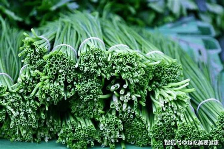 探访中国十大苗木批发基地