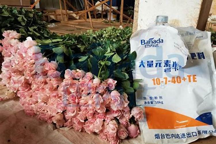 新开土地怎样变肥沃