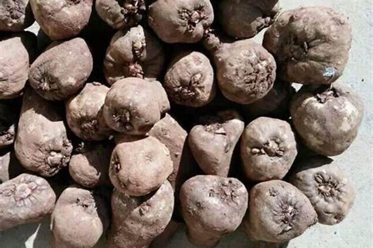 氮肥适合什么农作物 氮肥属于哪种肥料