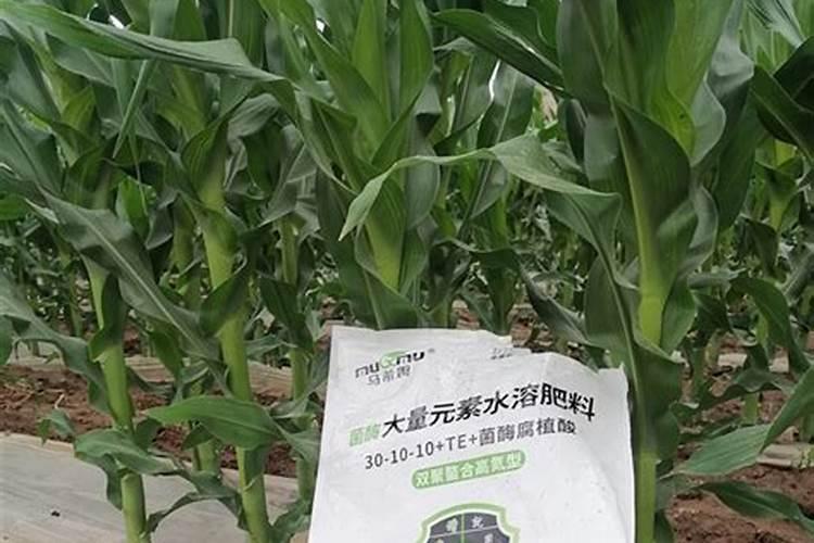 长效氮肥有哪些主要特性