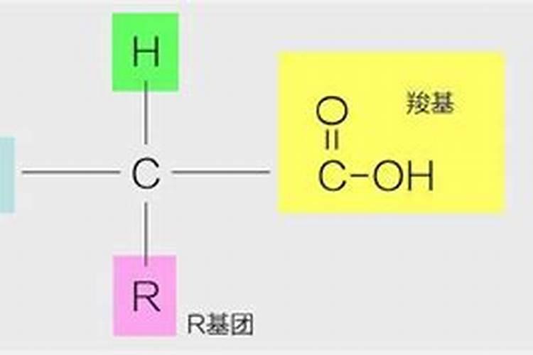 氨基酸对鱼有什么作用