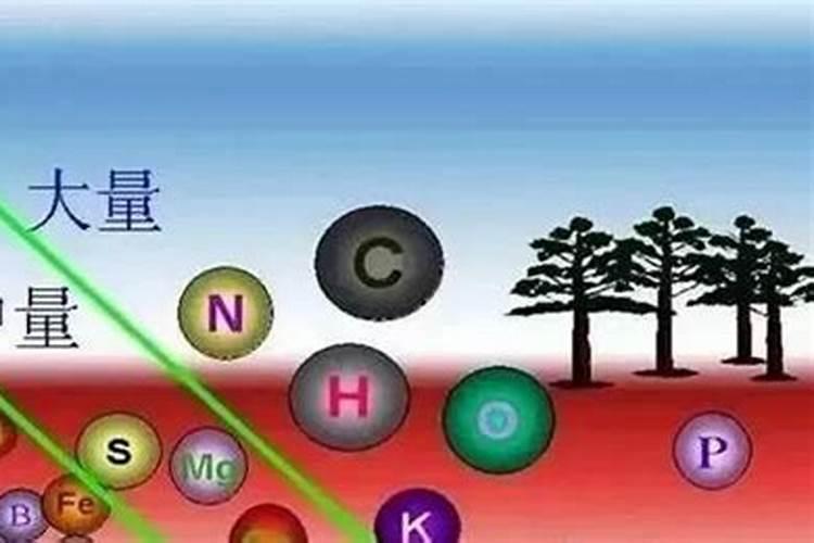 微量元素肥料哪家好