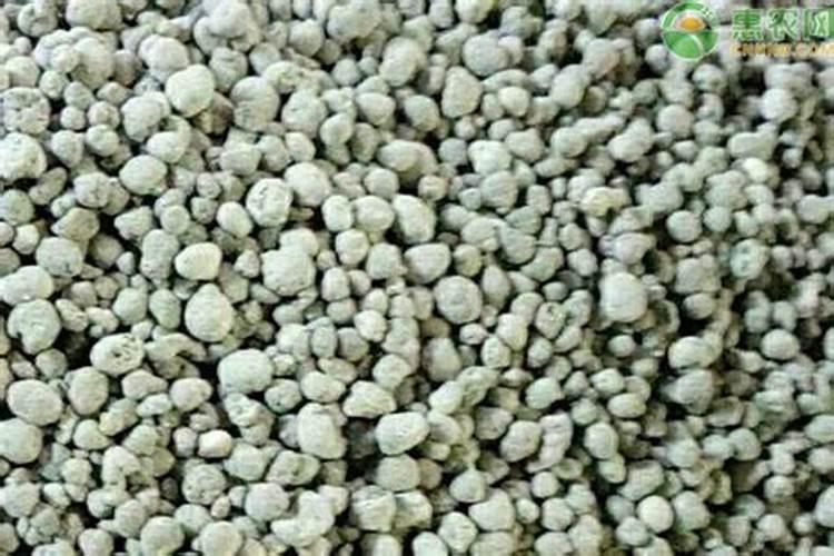 蓝莓和巴沙鱼能一起吃吗？