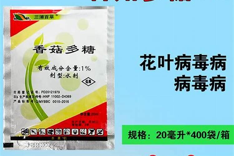 玉米正授粉时浇地好不好