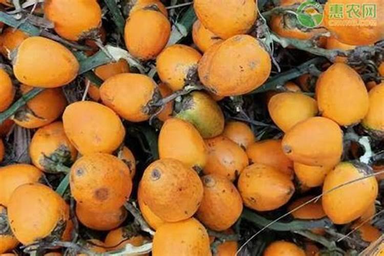 小苏打杀虫最佳配方蔬菜