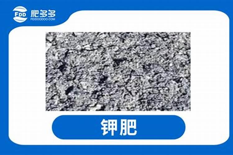 豆浆剩下的豆渣可以做肥料吗
