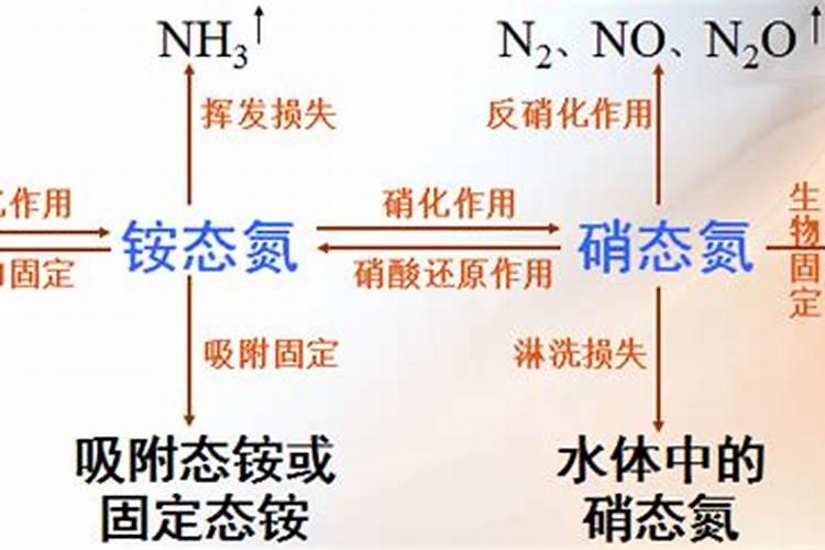 14羟基芸苔素甾醇高端在哪里？