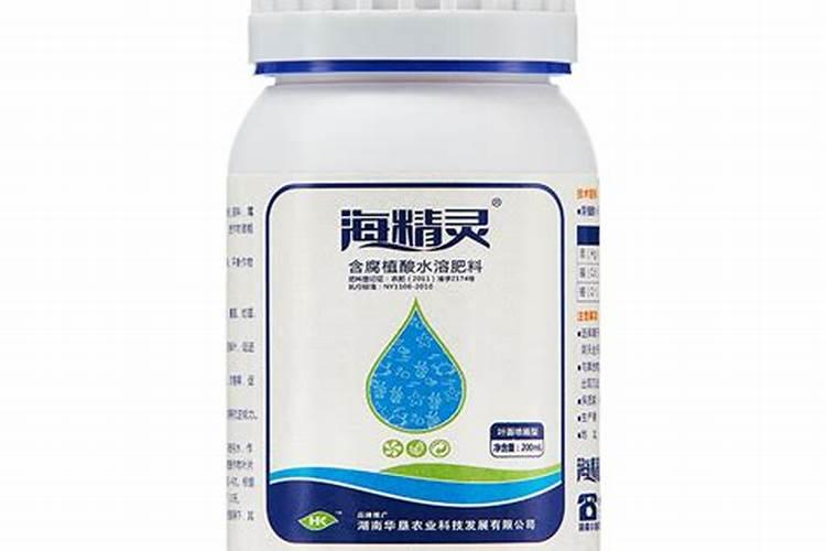 多肉可以施复合肥吗