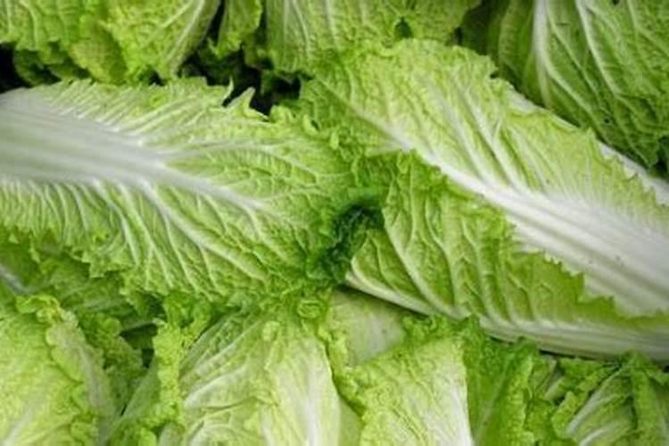 钾肥适合什么蔬菜