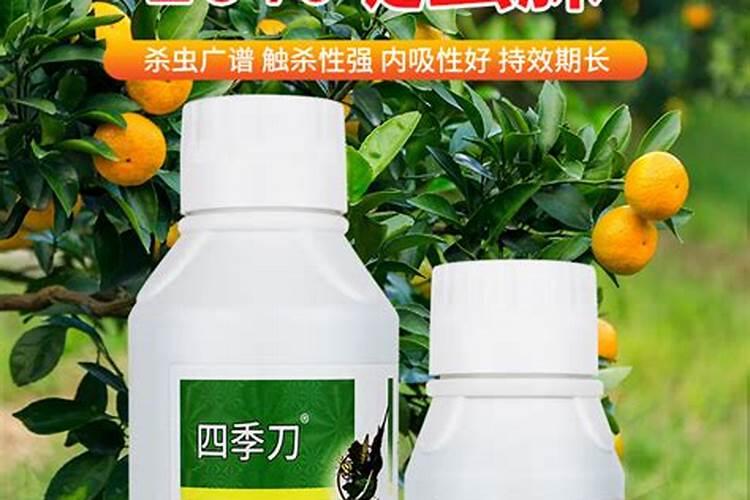 根腐病四大特效药