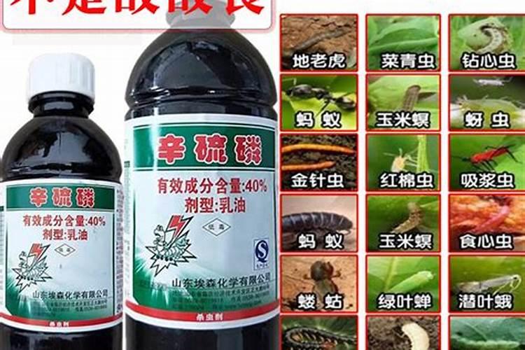 根腐病用什么药灌根好