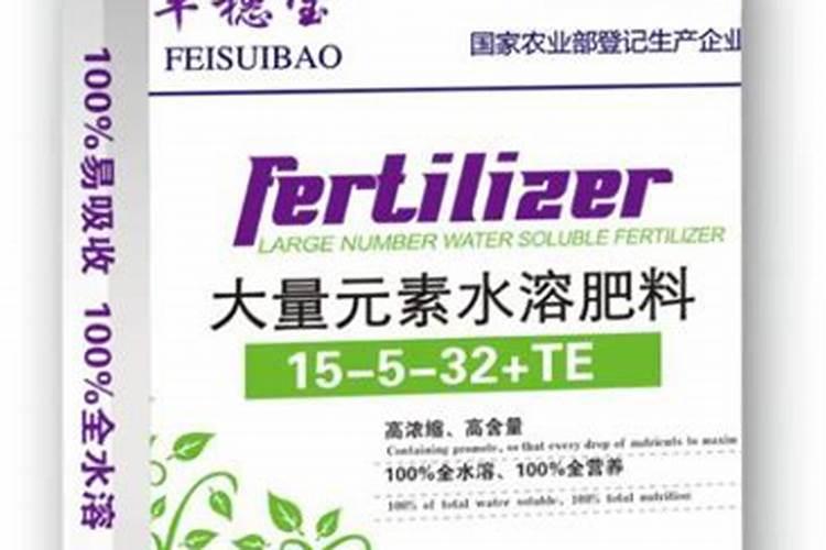 菠萝和凤梨有什么区别？