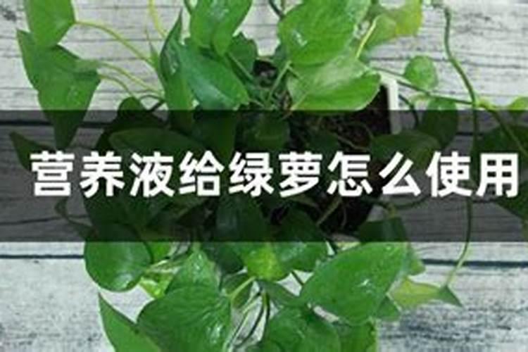 花生渣可以用来做肥料吗？