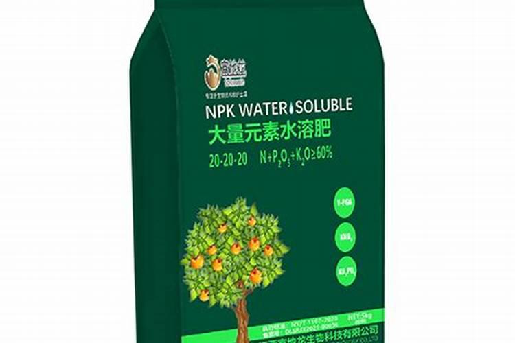 6月移栽广玉兰容易存活么？