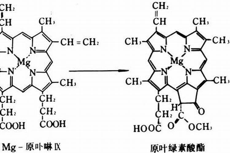 磷肥和钙肥能一起用吗 磷肥是酸性还是碱性的