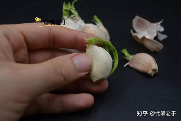 大蒜泡水是磷肥吗