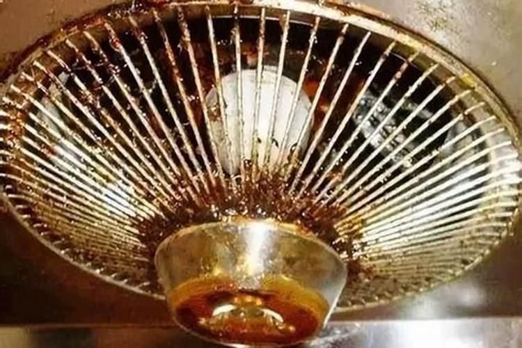 君子兰花肥用什么合适 肥料制作与使用方法